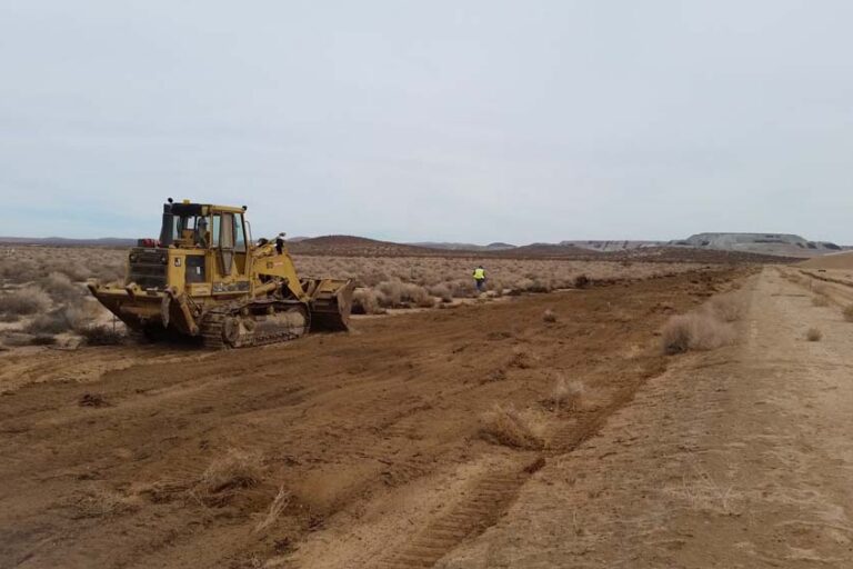 18 - P559 Scarification -RTM