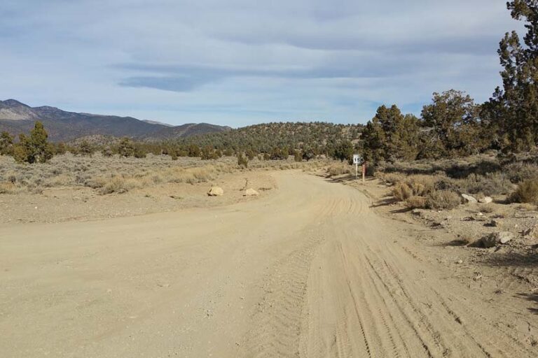 4 - CARMA Road Restoration