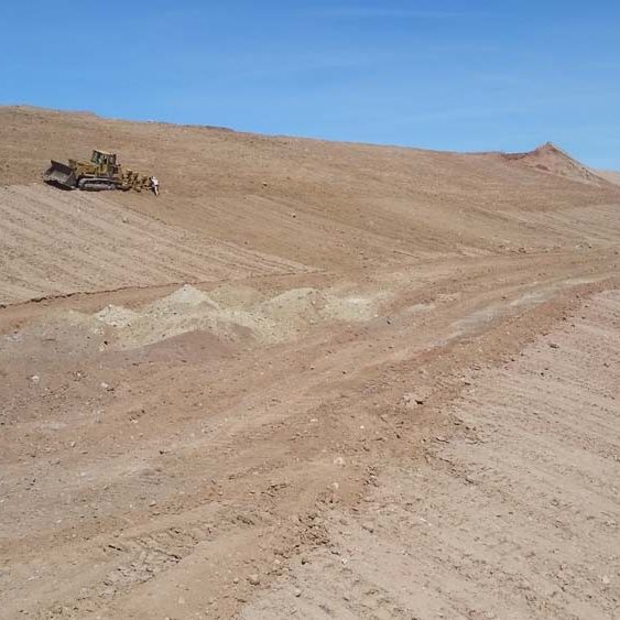 8 - Shrub Island - RTM