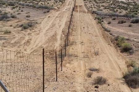 9 - Tortoise Fence - RTM