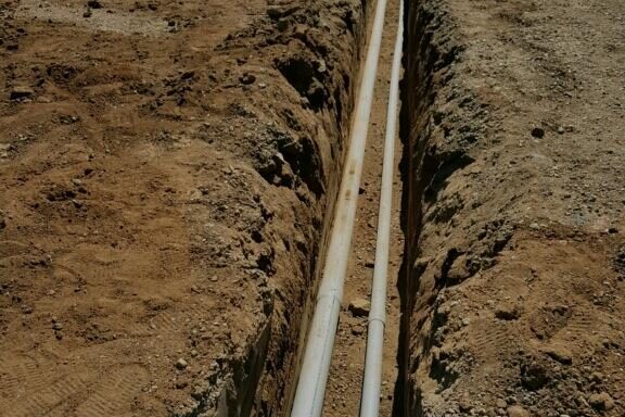 Portal Ridge Perimeter Wind BreakVisual Barrier Tree Planting Effort