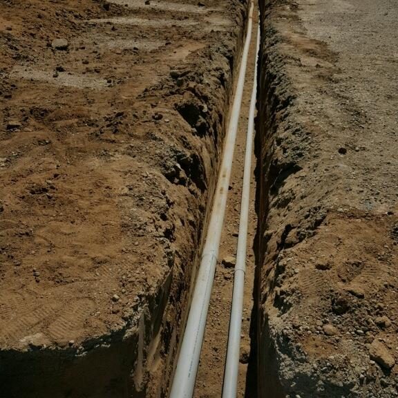 Portal Ridge Perimeter Wind BreakVisual Barrier Tree Planting Effort