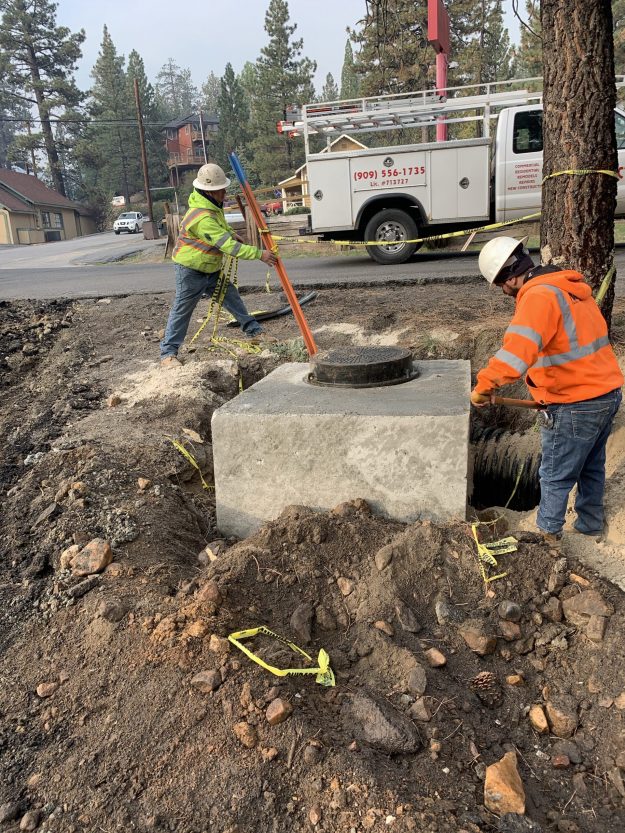 4 – APL – Red Ant – 1