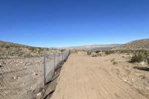 Northwind - 2025 Randsburg Yellow Aster Fencing
